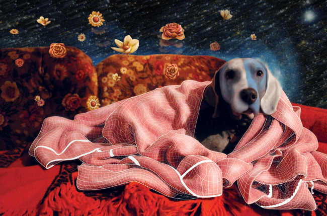 Dog Space
